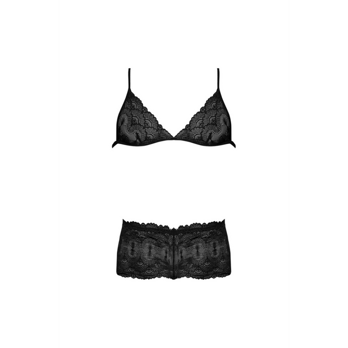 Triangle Bra and Cheeky Brief Set - 2X - Black