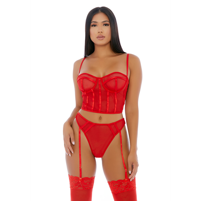 Sheer Intimacy - Mesh Bustier Set - L