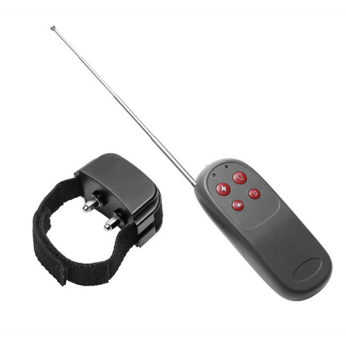 Cock Shock - Electro Stimulation Cockring with Remote Control