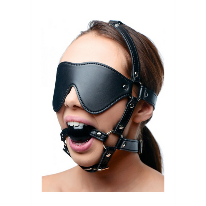 Eye Mask Harness with Ball Gag