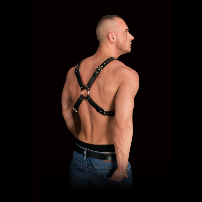 Adonis - High Halter Harness