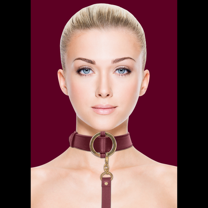 Luxurious Collar with Leash